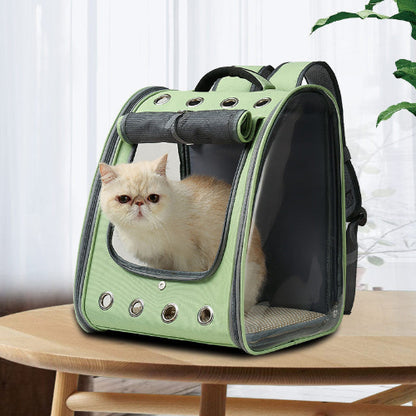 Cat in a green pet carrier on a wooden table with a white curtain and plant in the background
