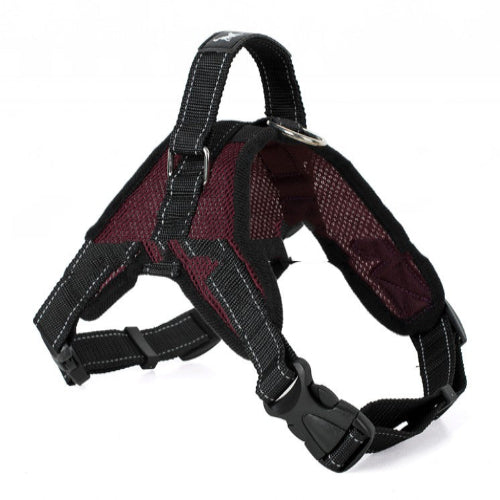 Dog harness with black straps and red mesh on a white background