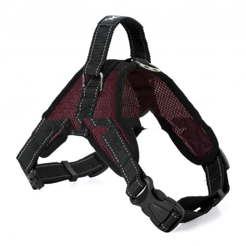 Dog harness with black straps and red mesh on a white background