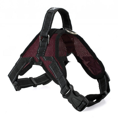 Dog harness with black straps and red mesh on a white background